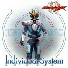 Individual-System [CD+DVD]