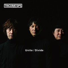 Unite/Divide