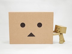 Le Danboard (롦ܡ) ǥå []