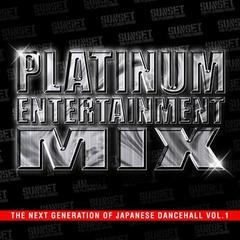 PLATINUM ENTERTAINMENT MIX-THE NEXT GENERATION OF