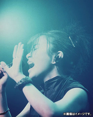 HIKARU UTADA LIVE CHRONICLES Luv Live (1999)