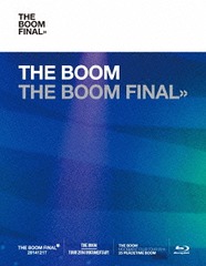 THE BOOM FINAL []