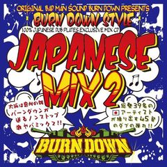 100% JAMAICAN DUB PLATES MIX CD &#34;BURN DOWN MIX 6&#34;