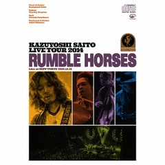 KAZUYOSHI SAITO LIVE TOUR 2014 &#34;RUMBLE HORSES&#34; Live at ZEPP TOKYO 2014.12.12 [緿̿ս]