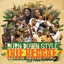 BURN DOWN STYLE "IRIE REGGAE" -DUB PLATE EDITUION 2-