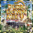 100% DUB PLATES MIX CD "BURN DOWN MIX 9"