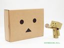 Le Danboard (롦ܡ) ǥå []