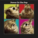 POWER TO THE POP [Blu-spec CD2]