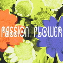 Passion Flower [SACD Hybrid]