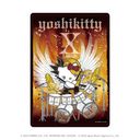 żꥢ yoshikitty 01 / ɥ ǥ ( 饹)