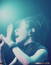 HIKARU UTADA LIVE CHRONICLES Luv Live (1999)/¿ĥҥ