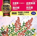 Ķ 饪 W ٥4 Vol.156