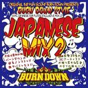 100% JAMAICAN DUB PLATES MIX CD "BURN DOWN MIX 6"