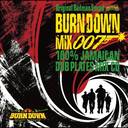 100% JAMAICAN DUB PLATES MIX CD "BURN DOWN MIX 7"