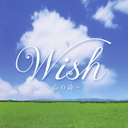 Wishλ