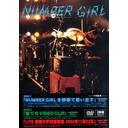 ʥСNUMBER GIRL