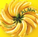 Alma¹ʽ