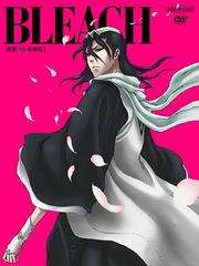 BLEACH ̡VS. 2