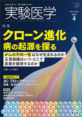 ¸ Vol.41No.6(2023-4)