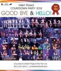 Hello! Project COUNTDOWN PARTY 2013  GOOD BYE &amp; HELLO ! 