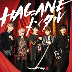 HAGANE󥿥 [̾]