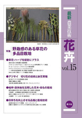 ǿȵѲ vol.15