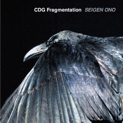 CDG Fragmentation