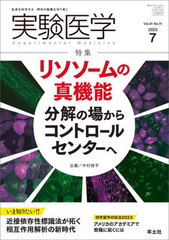 ¸ Vol.41No.11(2023-7)