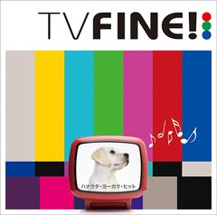 TV FINE!