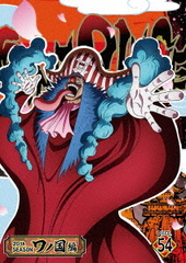 ONE PIECE ԡ 20TH ι PIECE.54