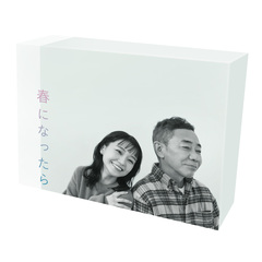 դˤʤä DVD-BOX