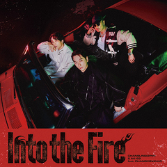 Into the Fire [CD+Blu-ray]