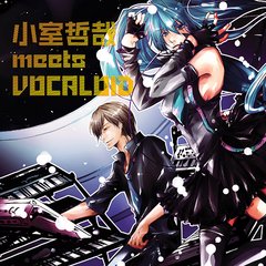 ů meets VOCALOID