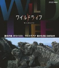 磻ɥ饤 ʲ ѥ ߥ ˭ʳ˱ˤФ [Blu-ray]