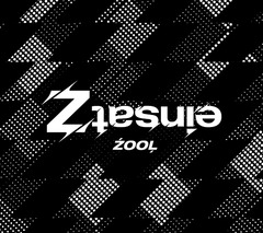 ץꥲإɥå奻֥ZOOL 1st Album einsatZ []