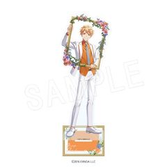 ʸȥ륱ߥ (ߥC105) BIG륹 Flower Frame Ver. Ļ 