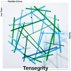 Tensegrity []