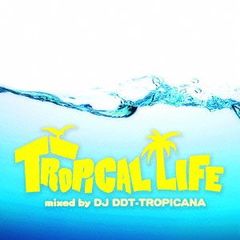 ȥԥ롦饤աߥåɡХDJ DDT-TROPICANA