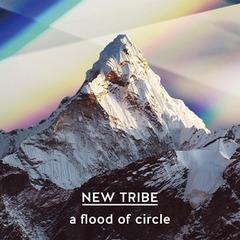 NEW TRIBE [̾]