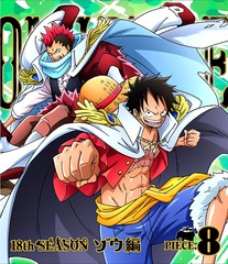 ONE PIECE ԡ 18TH  piece.8