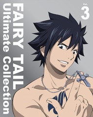 FAIRY TAIL -Ultimate collection- Vol.3