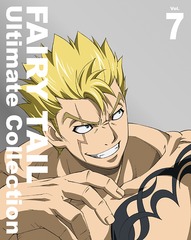 FAIRY TAIL -Ultimate collection- Vol.7