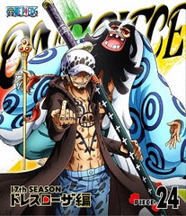 ONE PIECE ԡ 17TH ɥ쥹 piece.24