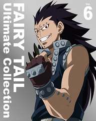 FAIRY TAIL -Ultimate collection- Vol.6