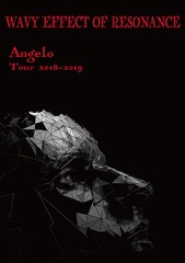 Angelo Tour 2018-2019 WAVY EFFECT OF RESONANCE