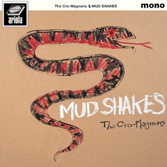 MUD SHAKES