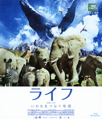 饤 -ΤĤʤʪ- Blu-ray ɡǥ [Blu-ray]