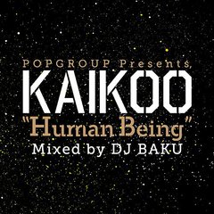 KAIKOO OFFICIAL MIXCD 2005-2010 ()