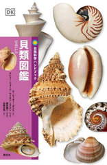 ޴ / ȥ:Shells (ʳإϥɥ֥å)