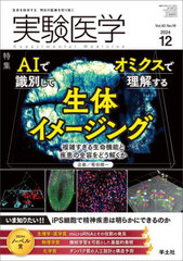 ¸ Vol.42No.19(2024-12)